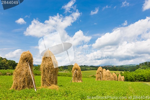 Image of Traditional hay stacks on the field.