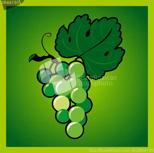 Image of Green grape bunch