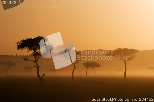 Image of Sunset in Massai Mara