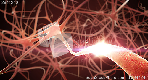 Image of 3D render of Neurons Network. 
