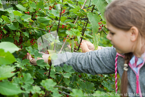 Image of Children in the garden