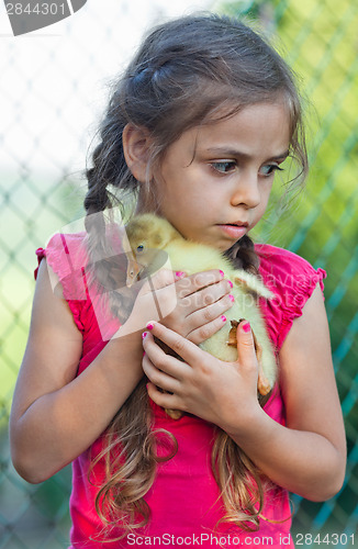 Image of Little girl with gosling