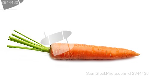 Image of fresh raw carrot