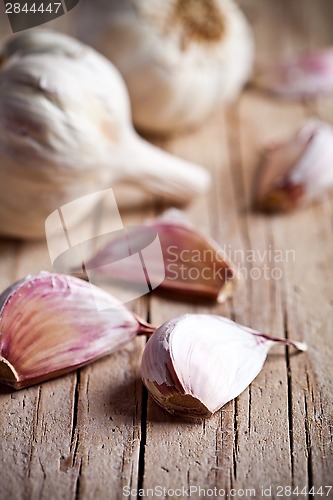 Image of fresh garlic