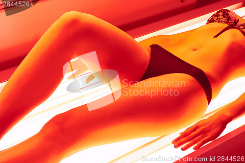Image of collagen solarium