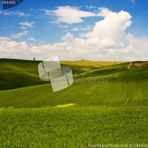 Image of Flowered Landscape