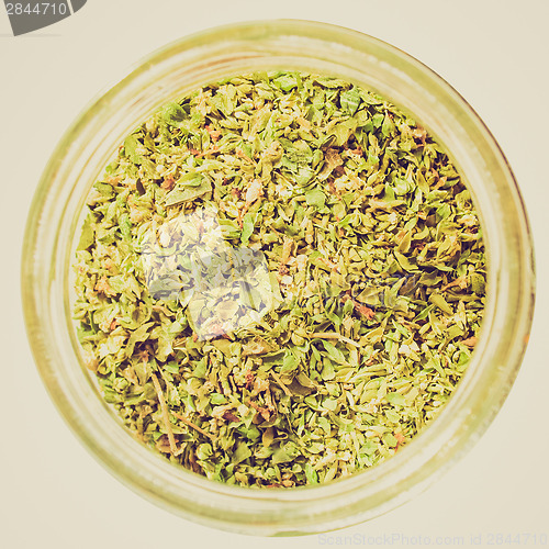 Image of Retro look Oregano picture