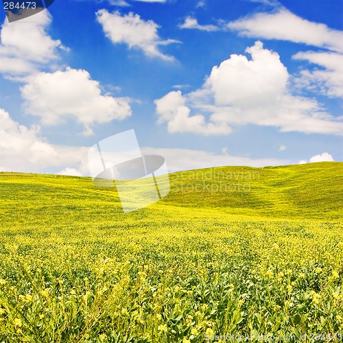 Image of Flowered Landscape