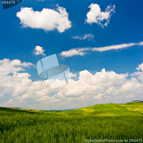 Image of Flowered Landscape