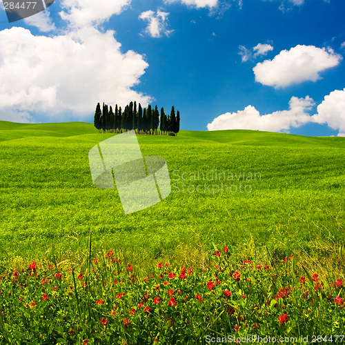 Image of Tuscan Landscape