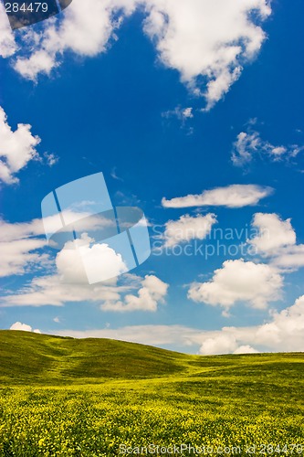 Image of Flowered Landscape