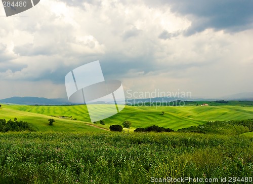 Image of Tuscan Landscape