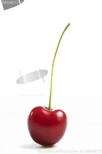 Image of Single cherry on white background