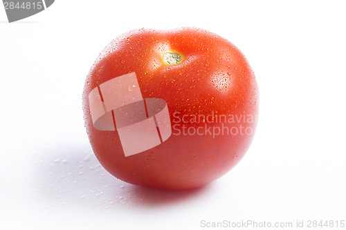 Image of A single red tomato on a white background