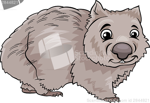 Image of wombat animal cartoon illustration