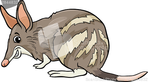 Image of bandicoot animal cartoon illustration