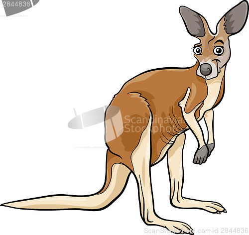 Image of kangaroo animal cartoon illustration