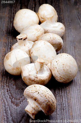 Image of Big Raw Champignons