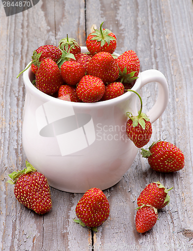 Image of Forest Strawberries