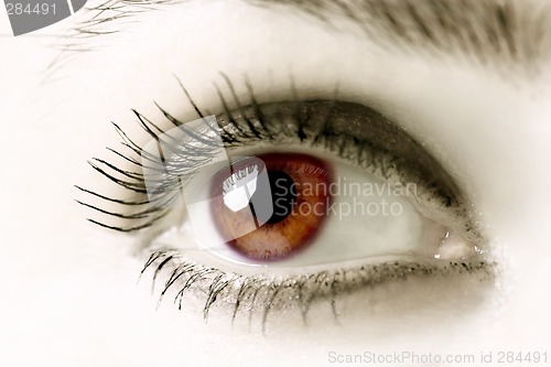 Image of Brown Eyes