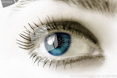 Image of Blue Eye