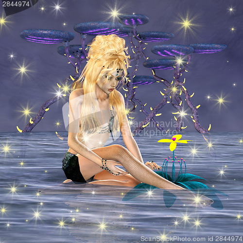 Image of Fantasy Mermaid