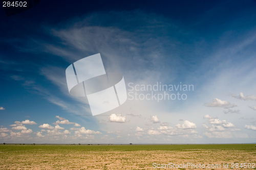 Image of African Plain