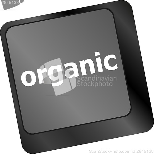 Image of organic word on green keyboard button