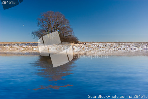 Image of Tree on Snowy Field Reflected