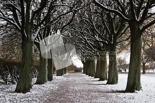 Image of Frozen Path