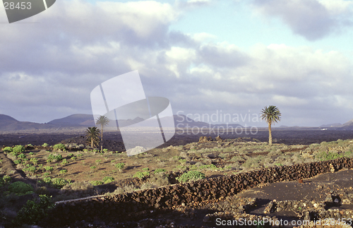 Image of Lanzarote