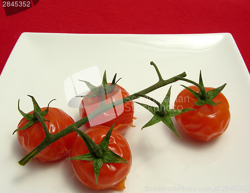 Image of Steamed vine tomatoes on a  twig arranged on a white plate