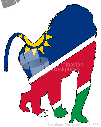 Image of Baboon Namibia