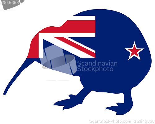 Image of New Zealand kiwi