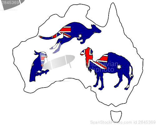Image of Australian animals