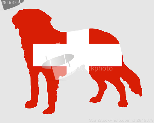 Image of Flag of Switzerland with Saint Bernard