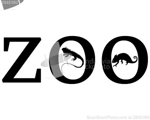 Image of Zoo animals