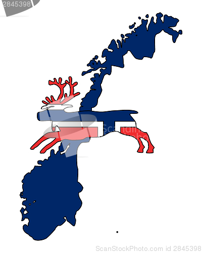 Image of Norwegian reindeer
