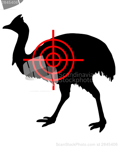 Image of Cassowary crosslines