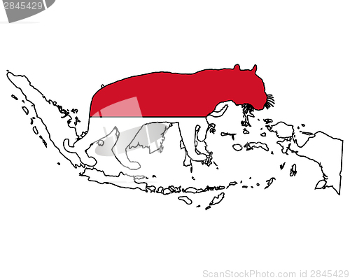 Image of Indonesia tiger