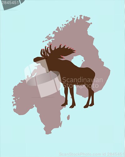 Image of Elk with christmas caps on its antlers in Scandinavia