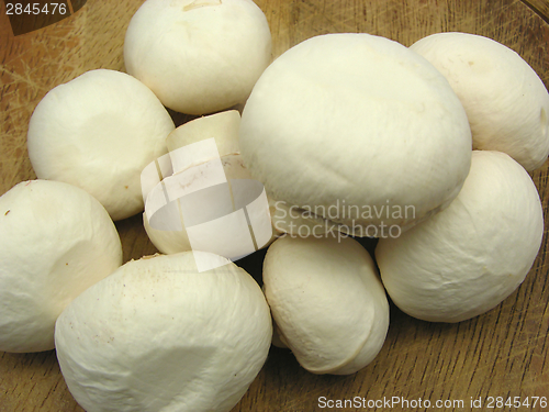 Image of White  mushrooms on a brown wooden plate