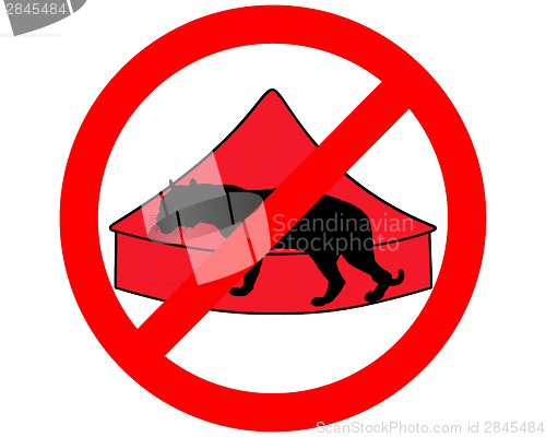 Image of Tiger in circus prohibited