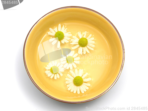 Image of Camomile blooms swim in the water of a  ceramic bowl