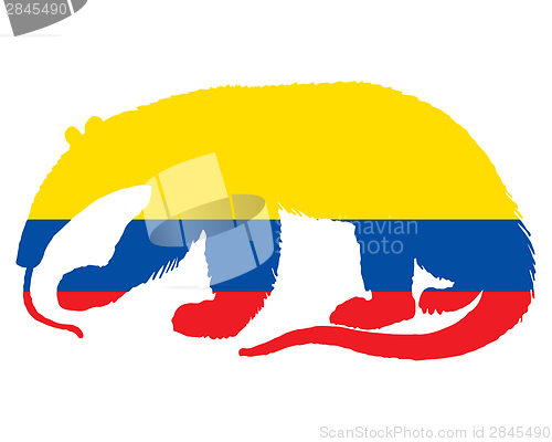 Image of Anteater  Ecuador