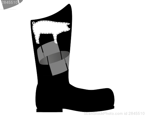 Image of Pigskin boots 