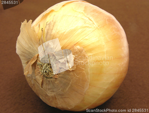Image of One onion arranged on a brown cloth