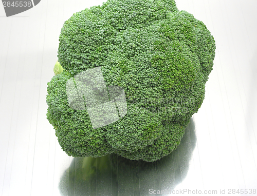 Image of Background picture as close-up view on broccoli