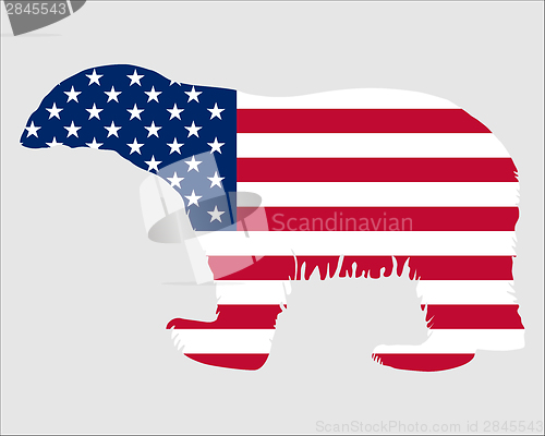 Image of American polar bear