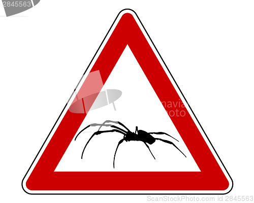 Image of Spider warning sign